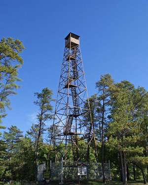 ɭ�ֲt����